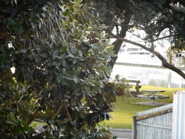 Apartment By The Marina Whitianga Kültér fotó